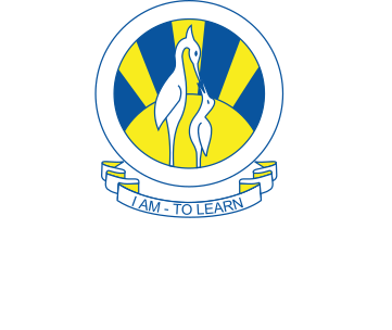 The City School logo